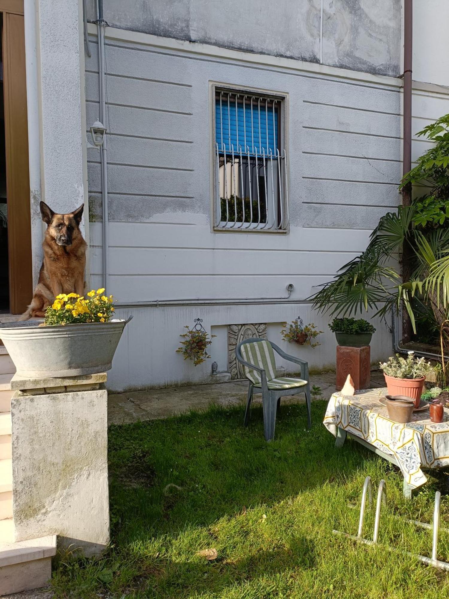 Chez Mavipagi B&B Verona Dış mekan fotoğraf